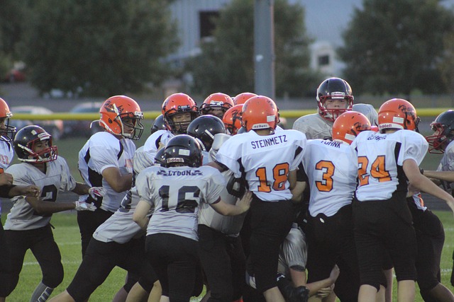 參考其他豪 參考其他豪