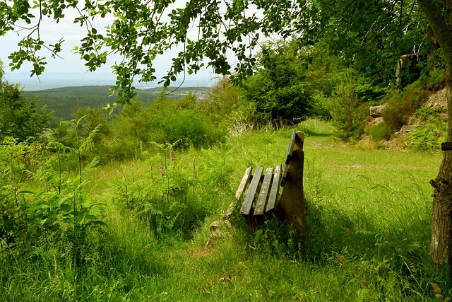 精神在娱乐 精神在娱乐