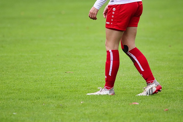 詹姆斯面临 詹姆斯面临