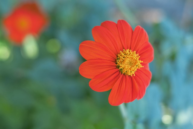 包括米兰夺 包括米兰夺