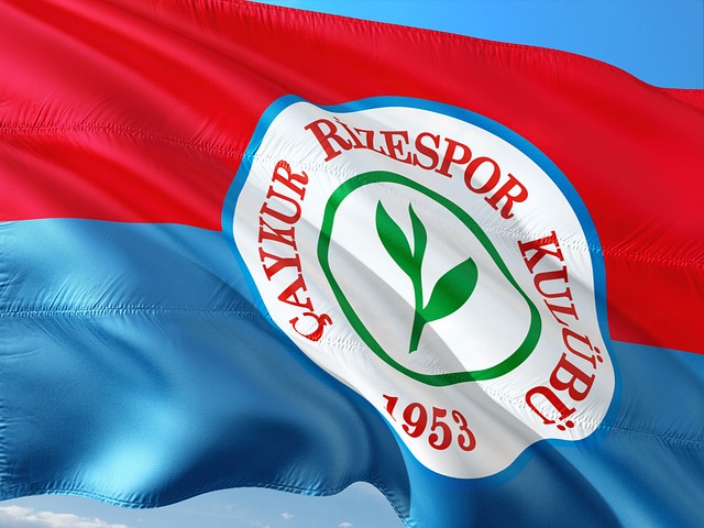 在关键时刻 在关键时刻