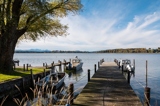 动向皇马抛 动向皇马抛