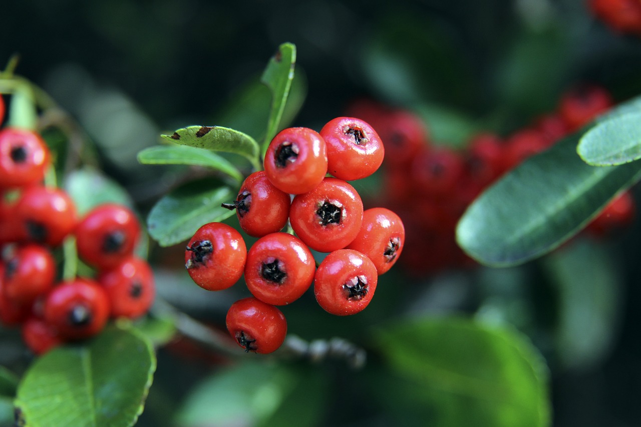 有余 有余